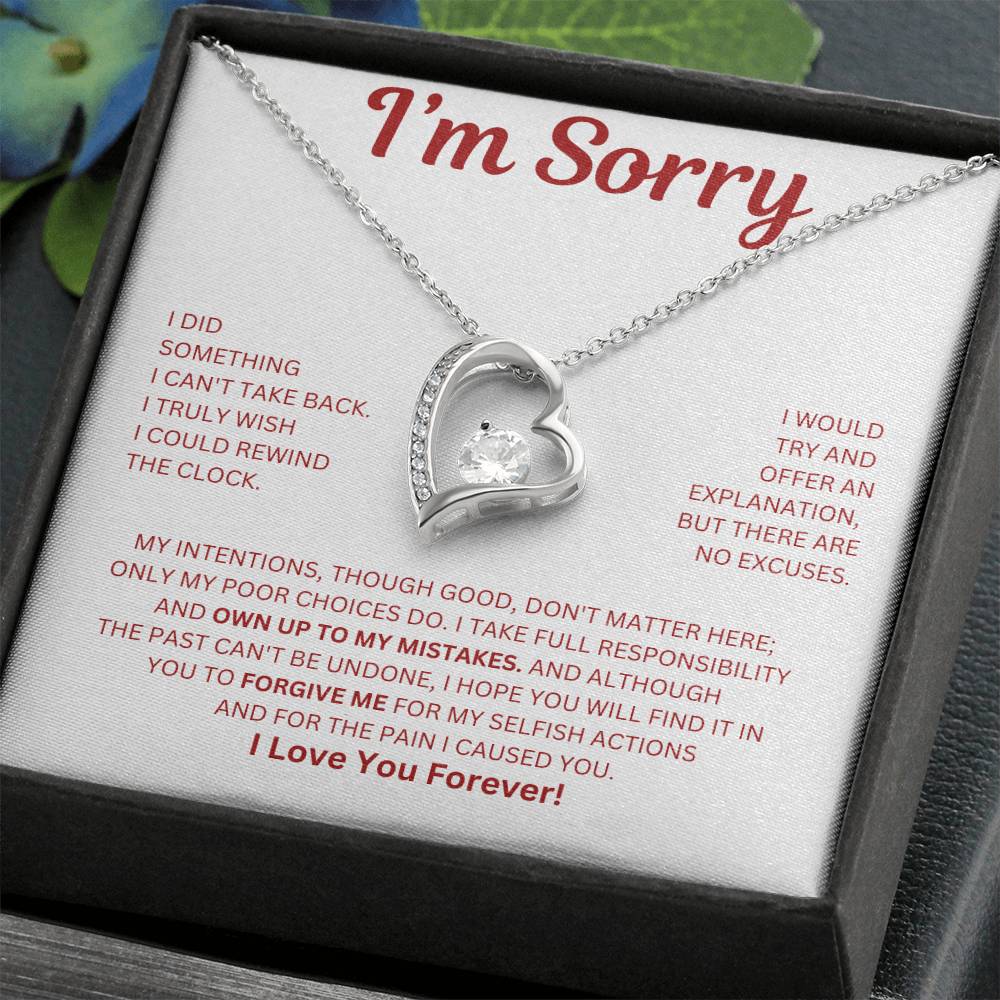 I'm Sorry : Forever Love